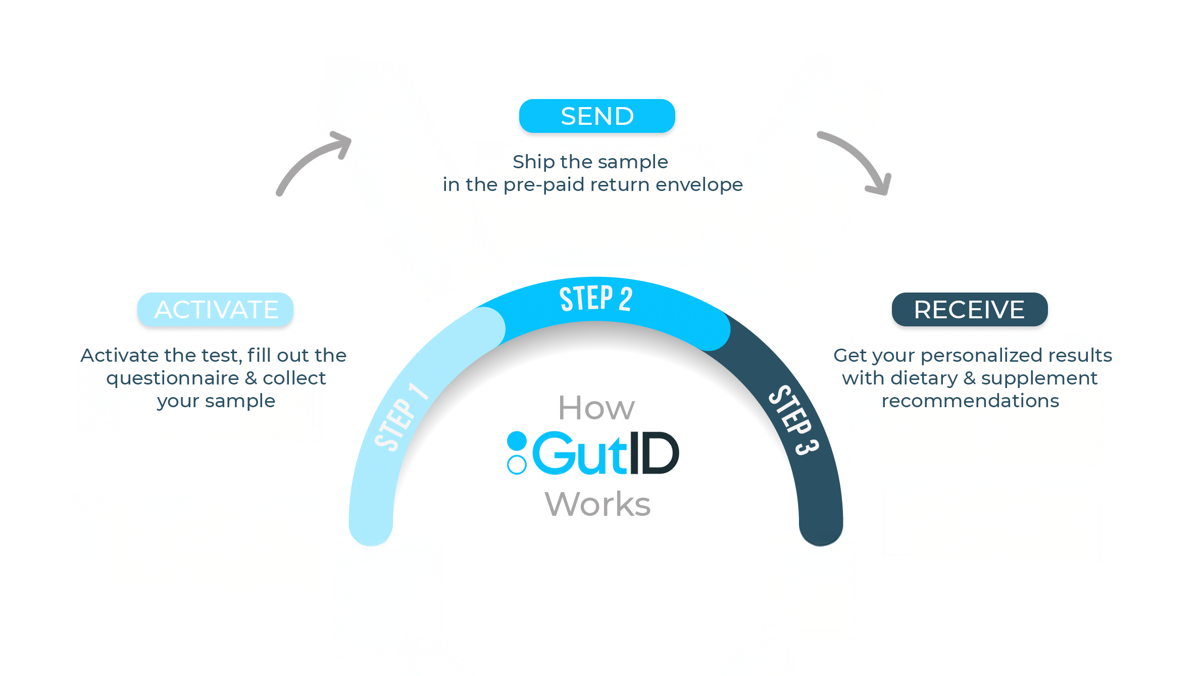 GutID CGI - Core Gut Insights