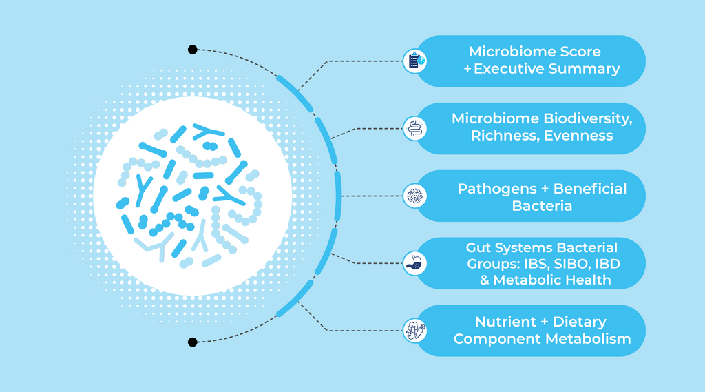 GutID CGI - Core Gut Insights