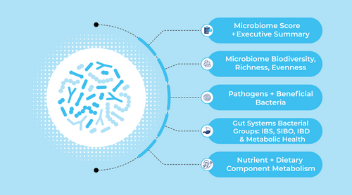 GutID CGI - Core Gut Insights